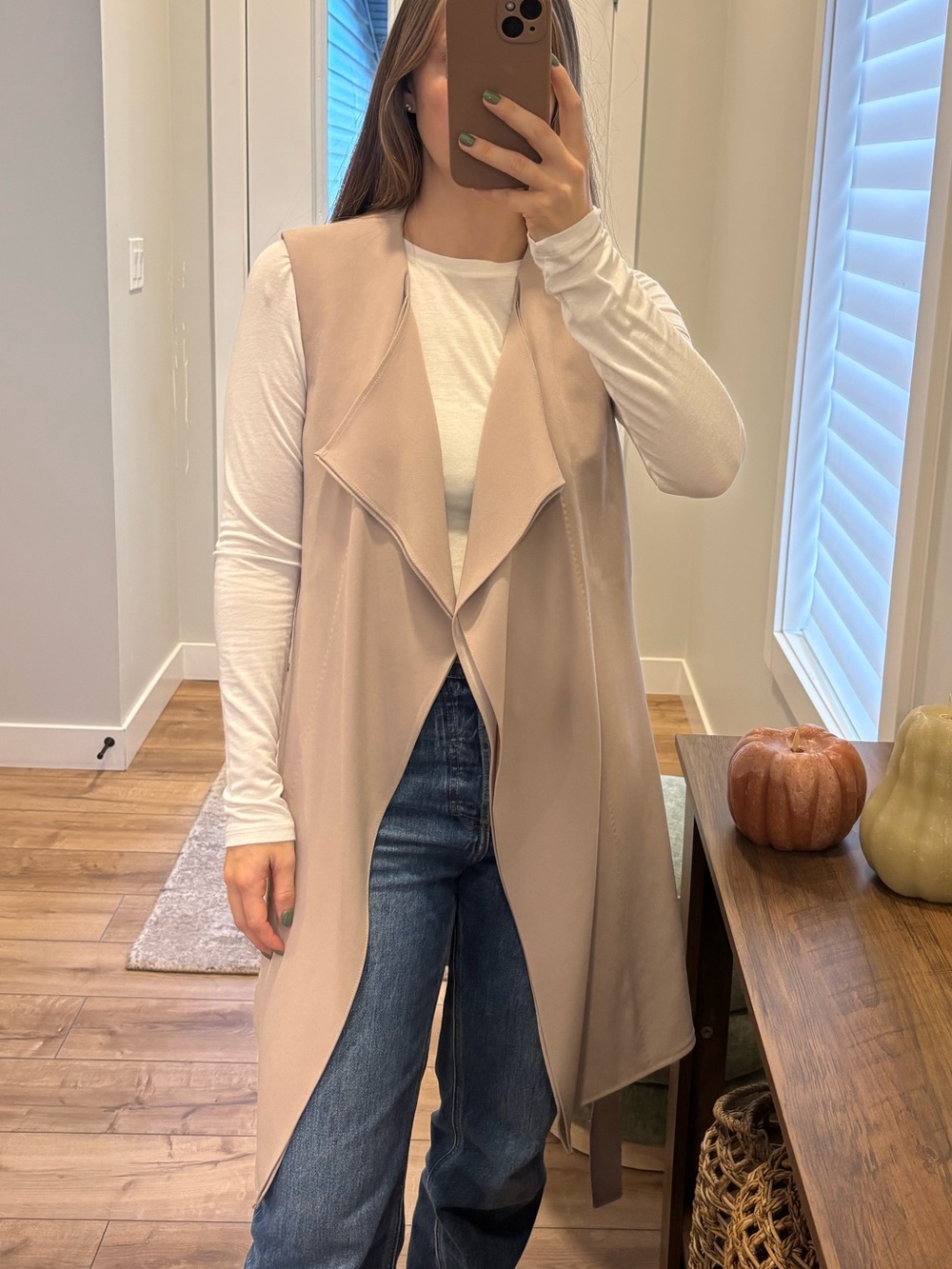 Aritzia - Babaton Silk Chiffon Vest